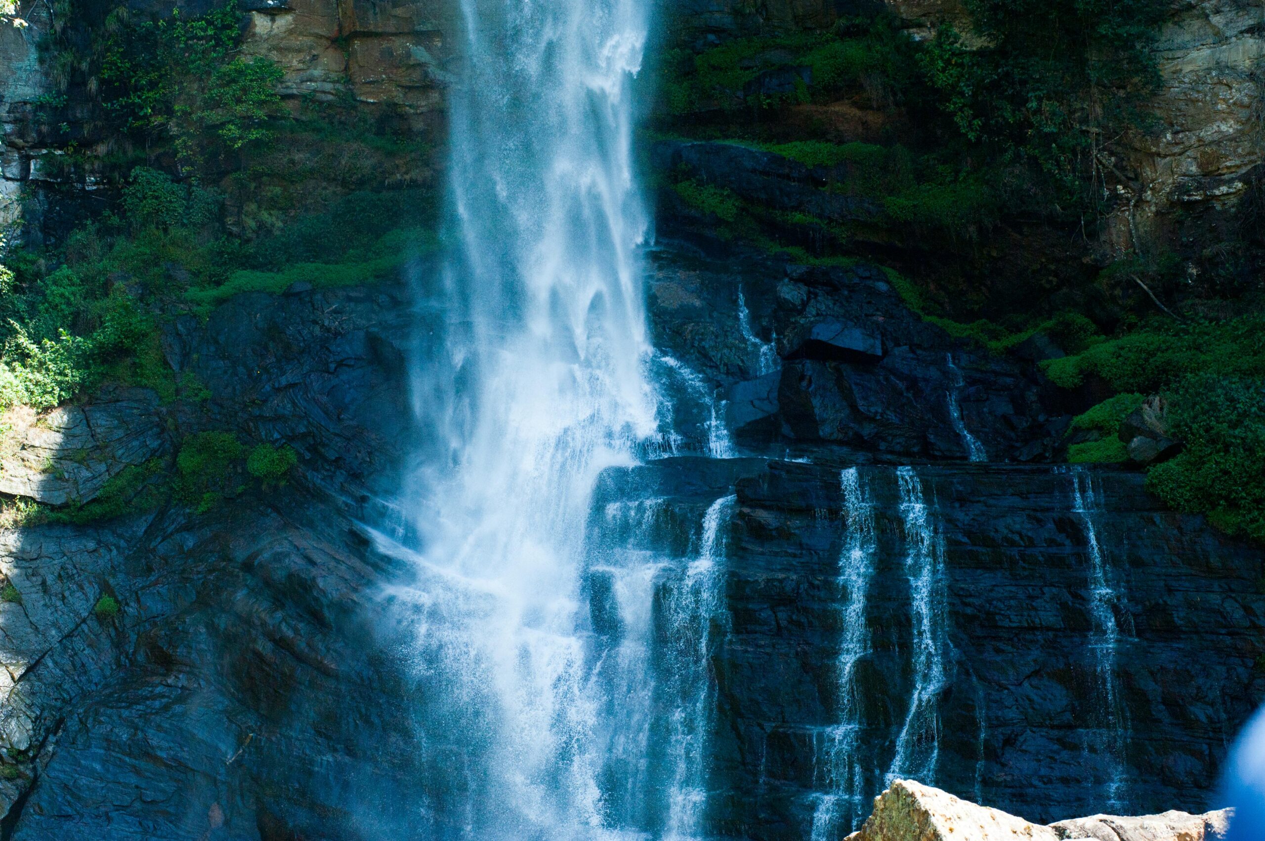 pexels-freestockpro-321584