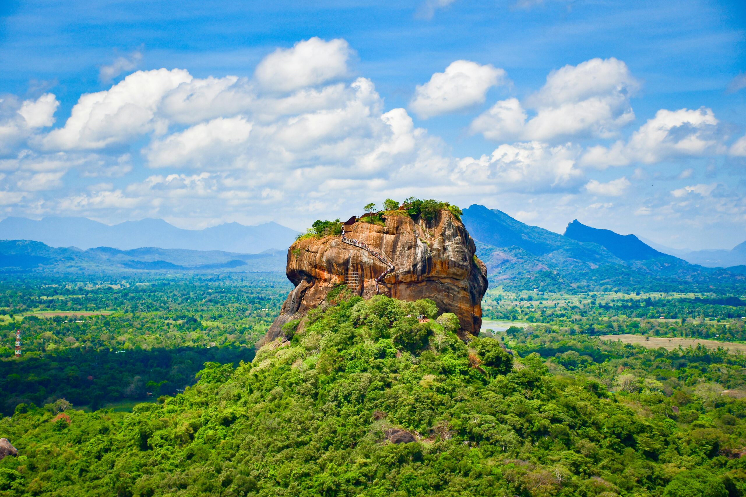 pexels-harsha-samaranayake-303340503-13391116 (1)